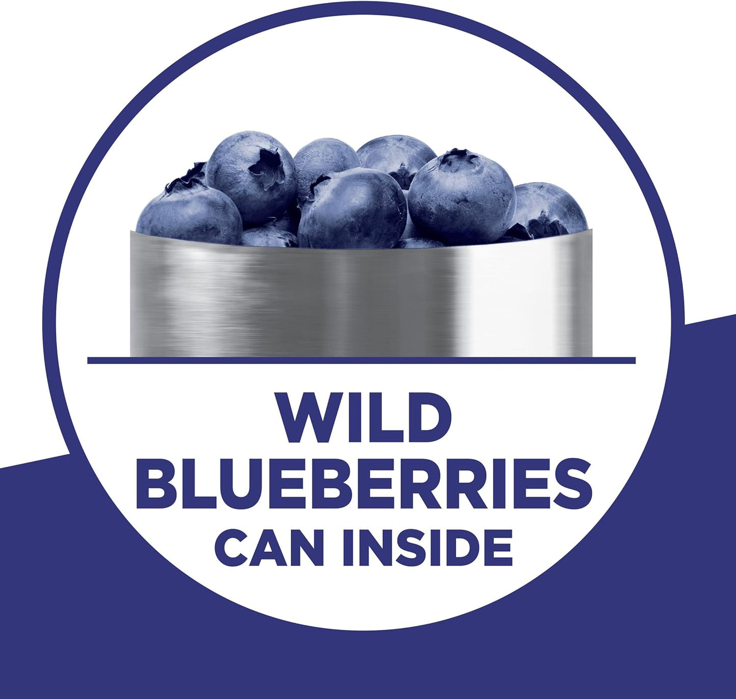 Wild Blueberry Supreme Muffin Mix