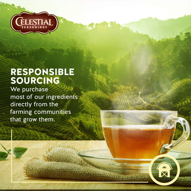 Order Celestial Seasonings Bengal Spice Herbal Tea (40 Tea Bags)