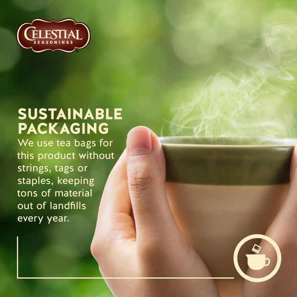 Experience Celestial Seasonings Bengal Spice Herbal Tea (40 Tea Bags)