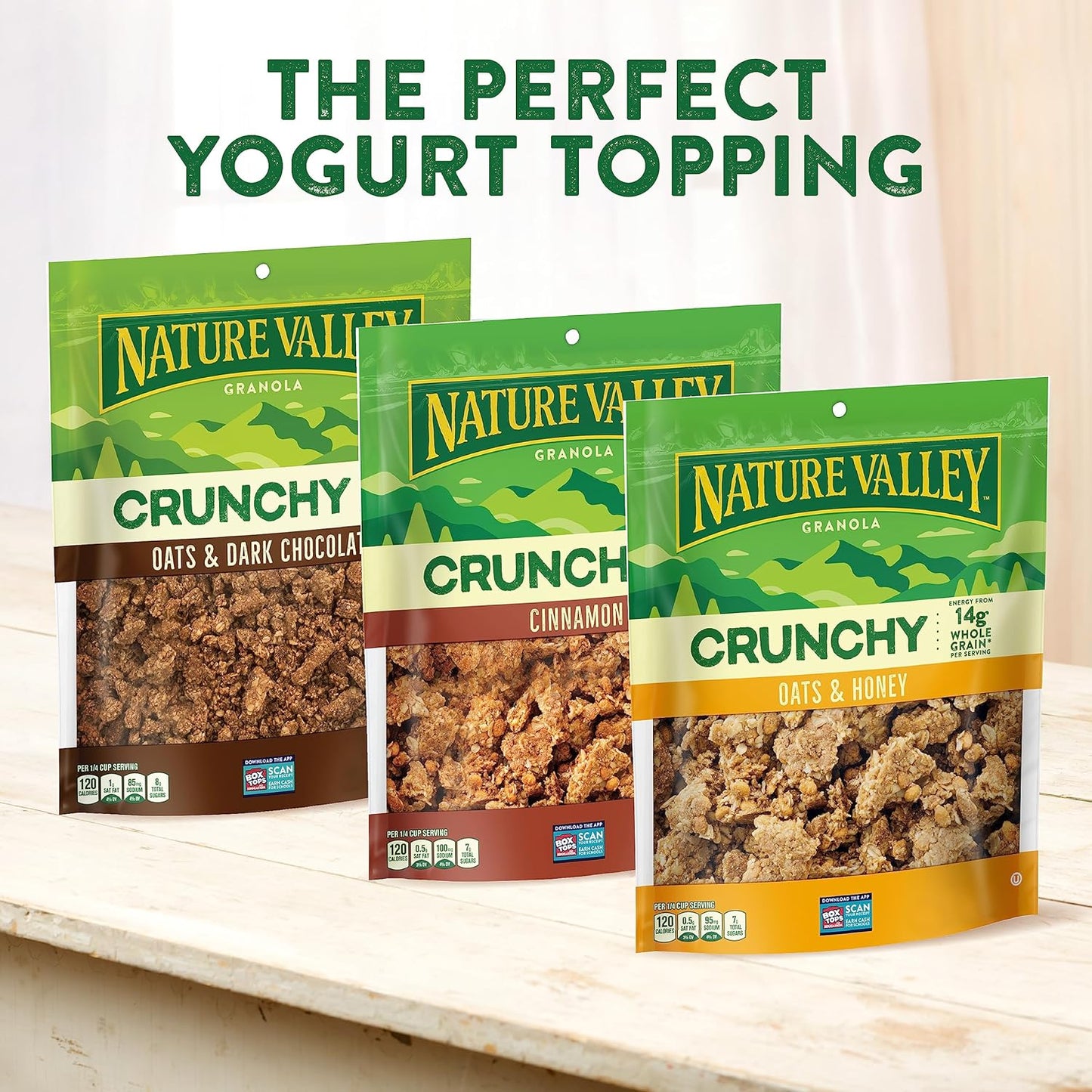 NATURE VALLEY Oats & Honey Protein Granola